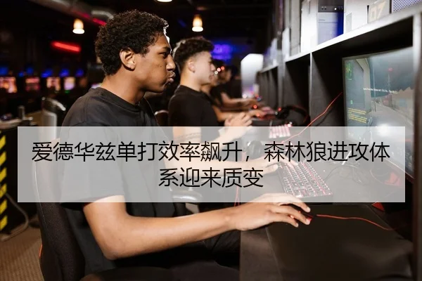 爱德华兹单打效率飙升，森林狼进攻体系迎来质变